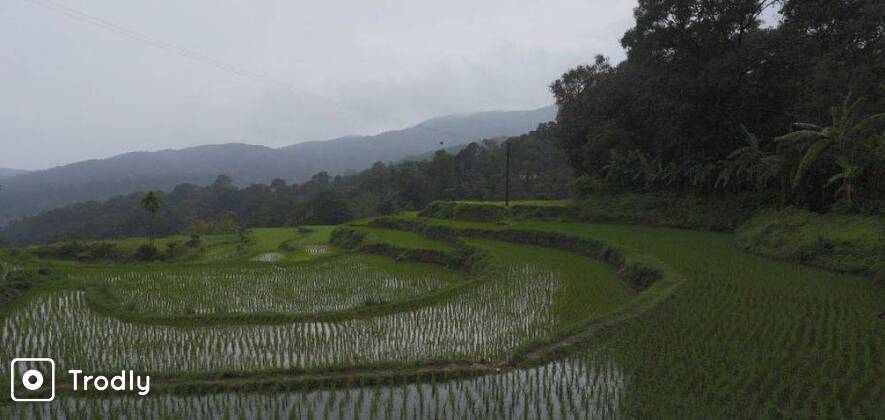 Coorg Eco Farm Tour With Chocolate Making & Dinner