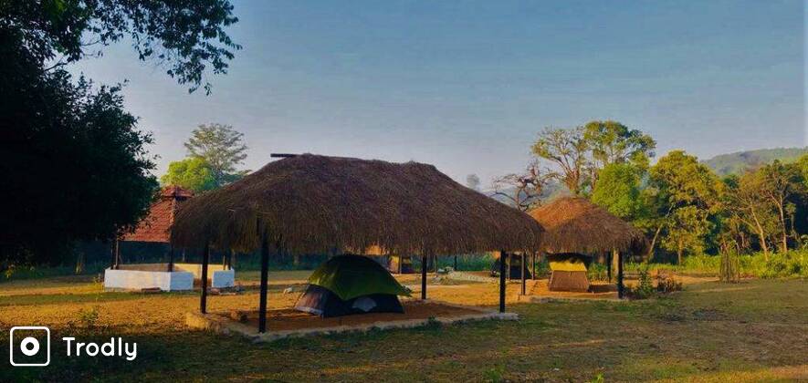 Plantation Camping Experience With Jungle Trek In Coorg