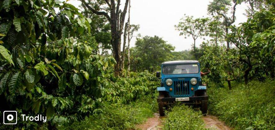 Trek To Bhramagiri & Camp Overnight In The Woods