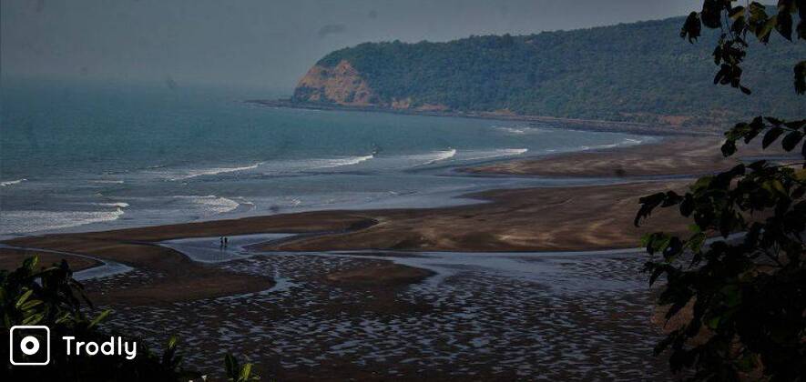 2 Day Velas - Harihareshwar Tour from Mumbai (Velas Turtle Festival)