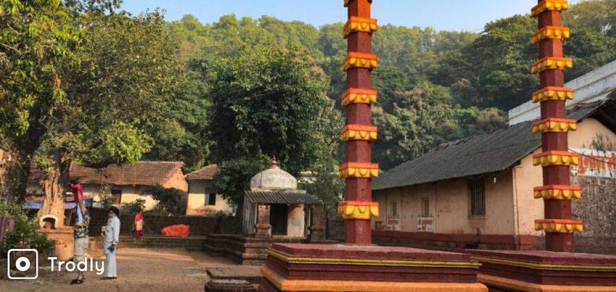 2 Day Velas - Harihareshwar Tour from Mumbai (Velas Turtle Festival)