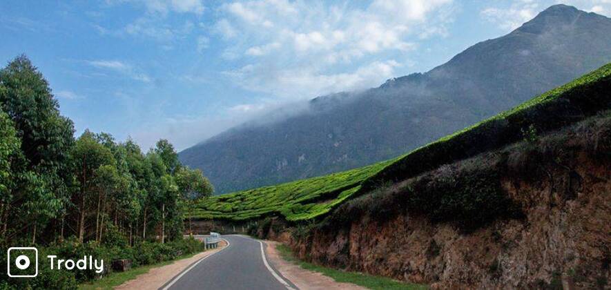 Cochin Airport to Munnar One Way Drop