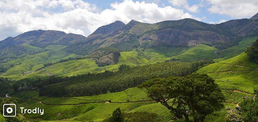 Munnar to Thekkady One Way Drop