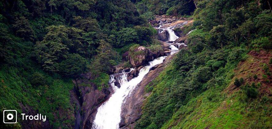Munnar City Full-Day Sightseeing Tour in Private Car