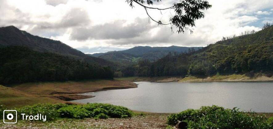 Munnar Full-Day Sightseeing Tour