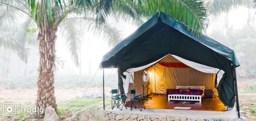 Luxury camping experience amidst the palm trees of Ponnampet, Coorg