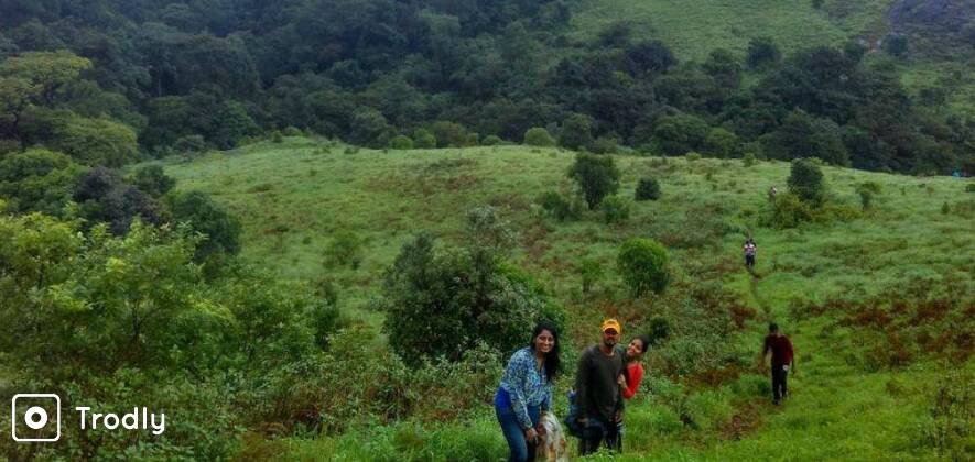 Brahmagiri-Narimale Day Trek In Coorg