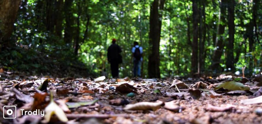 Unexplored Side Of Brahmagiri In Coorg