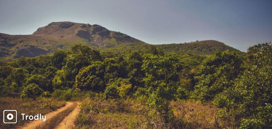 Kotebetta or the fort hill trek in Coorg