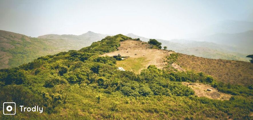 Kotebetta or the fort hill trek in Coorg