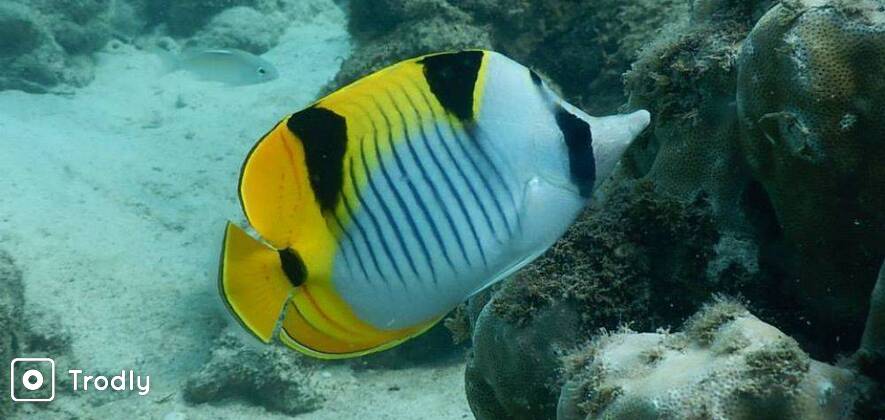 Gokarna Beach Trek & Scuba Diving