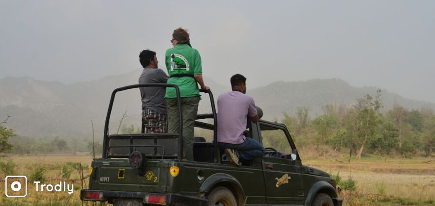 Jeep safari in Rajaji National Park