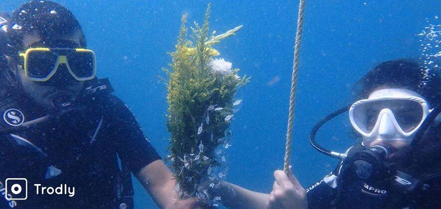 Couple's Romantic Scuba Dive in Pondicherry