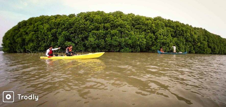 Kayaking in Mangrove Forest Island and Paravur Backwaters Near Varkala and Kollam