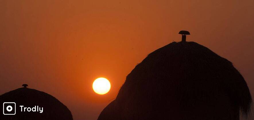 Macro & Landscape Photography Tour at THAR DESERT