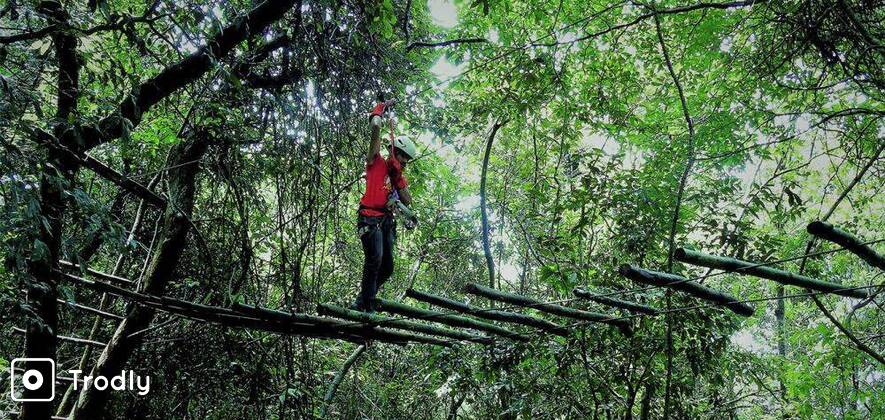 Rainforest Walk & Treetop Adventure at Coorg
