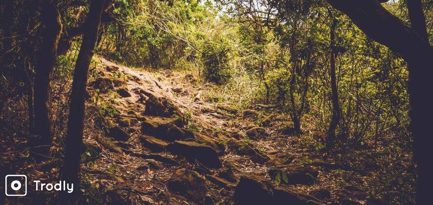 Pushpagiri Trek