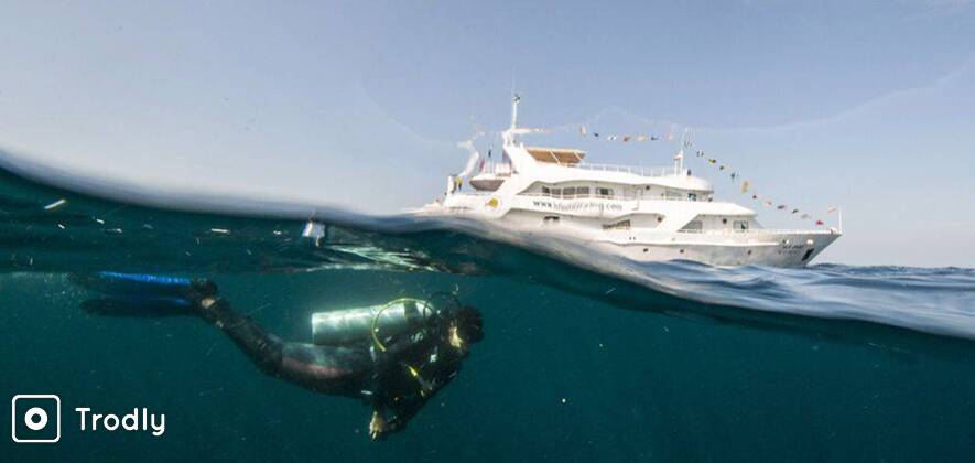 Scuba Diving on Liveaboard Cruise in Andamans