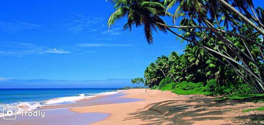 Bentota Day Tour from Colombo