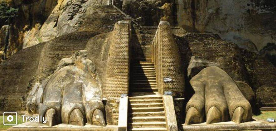 Sigiriya and Dambulla Day Tour with Lunch