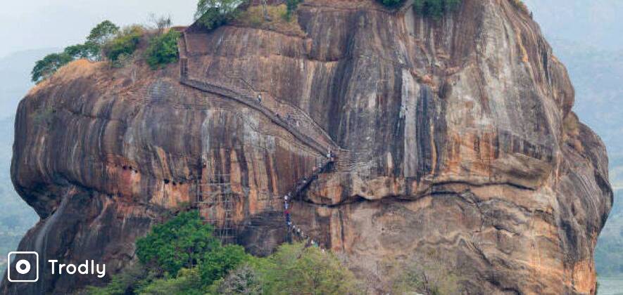Sigiriya and Dambulla Day Tour with Lunch