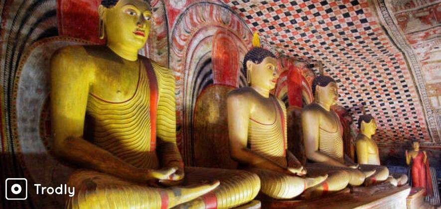 Sigiriya and Dambulla Day Tour with Lunch