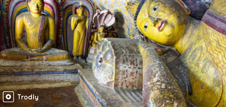 Sigiriya and Dambulla Day Tour with Lunch