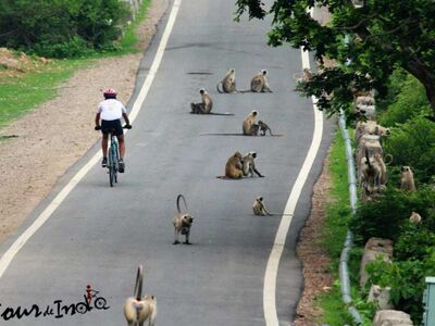 Morning Bicycle Ride to Nahargarh Fort
