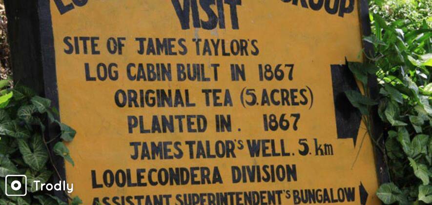 James Taylor's Loolkandura Tea Estate Tour from Kandy