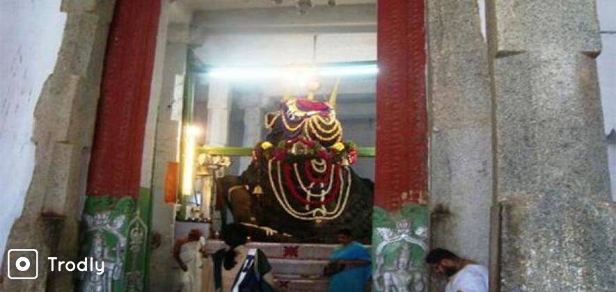 Bangalore City Non Guided Day Tour from Bangalore
