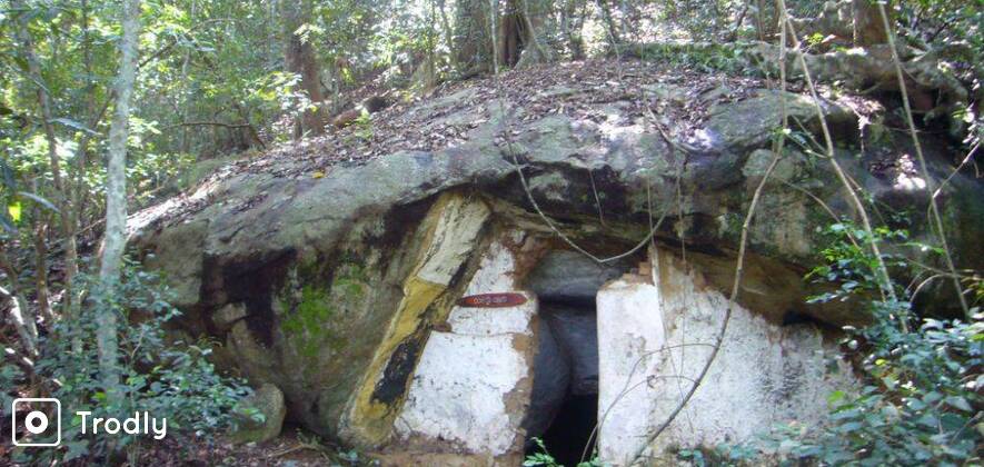 Nature Trek & Birding in Udawatte Kele Sanctuary