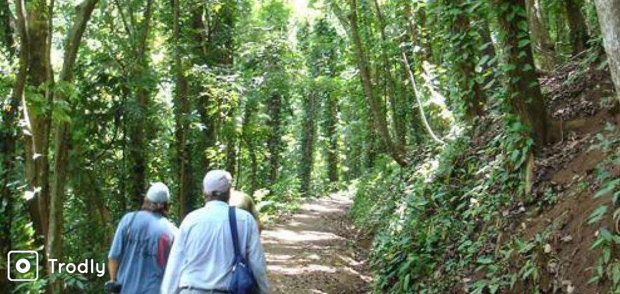 Nature Trek & Birding in Udawatte Kele Sanctuary