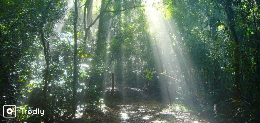 Nature Trek & Birding in Udawatte Kele Sanctuary