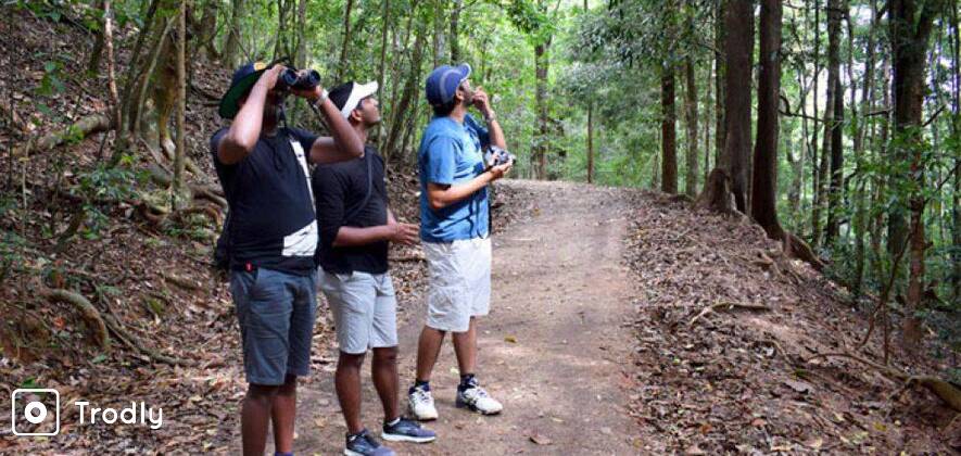 Nature Trek & Birding in Udawatte Kele Sanctuary