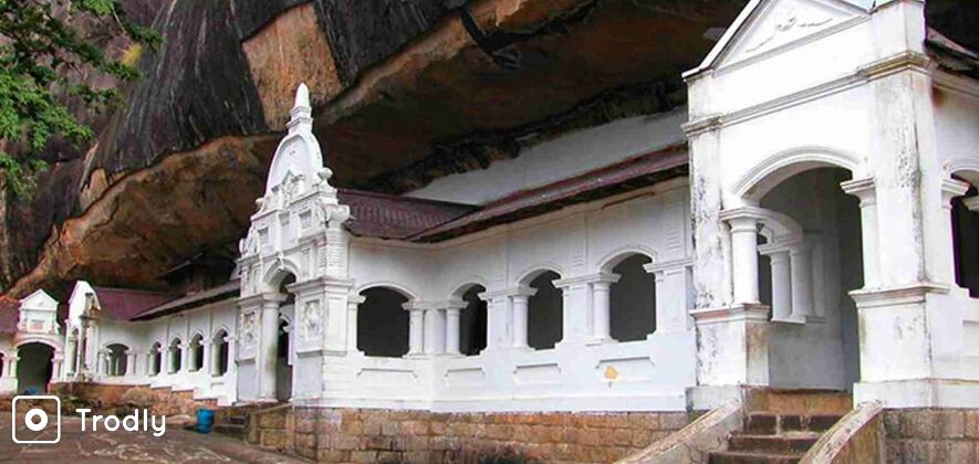 Muthurajawela Sanctuary Bird Watching Tour