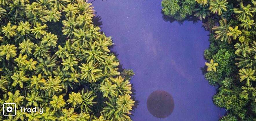 Hot Air Balloon Flight in Goa