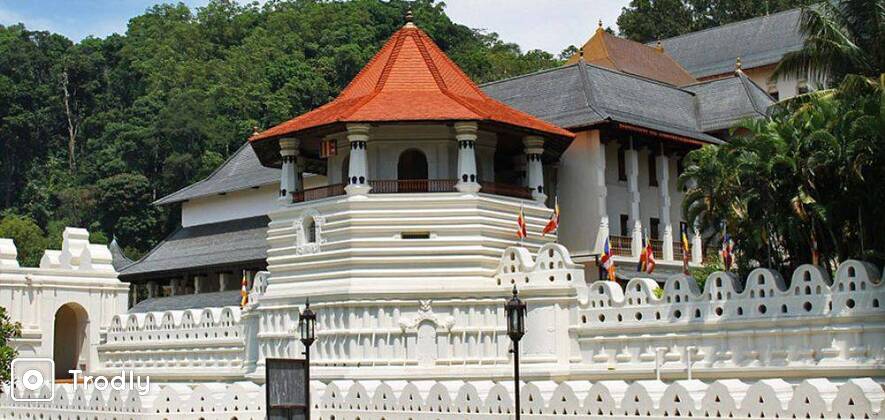 Kandy City Temple Tour