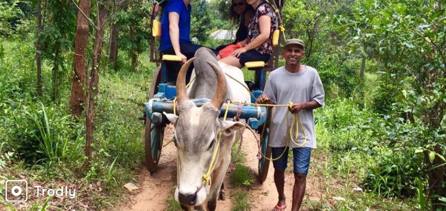 Sigiriya Rock Fortress and Village Tour from Dambulla