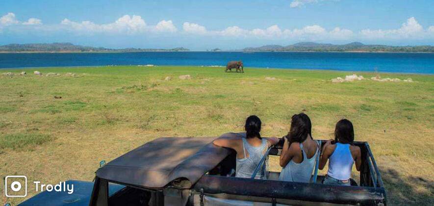Polonnaruwa and Minneriya Day Tour from Kandy