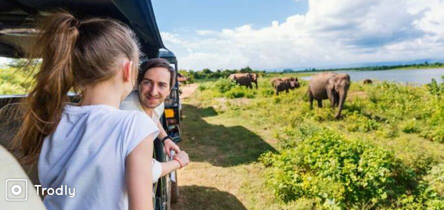 Udawalawe Safari and Elephant Transit Home Tour