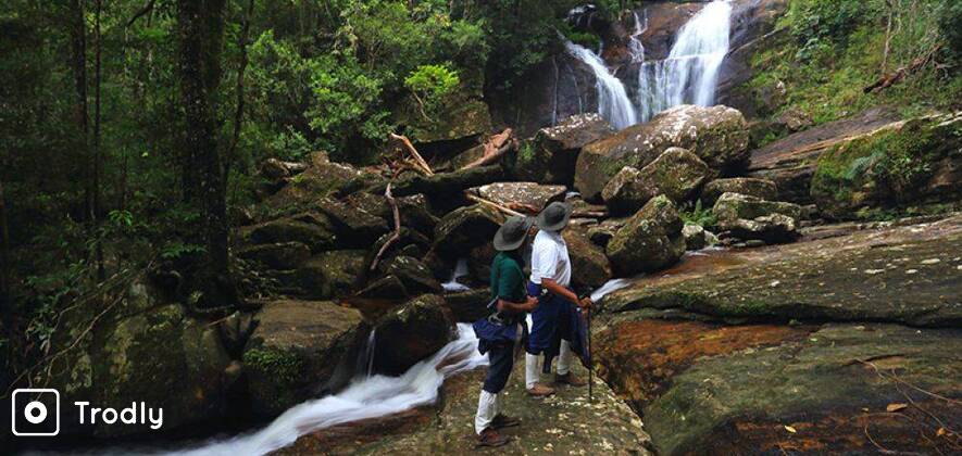 Overnight Rain Forest Adventure in Sinharaja with Return Transfers