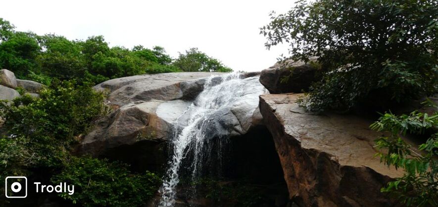 Yelagiri Sightseeing Tour From Chennai