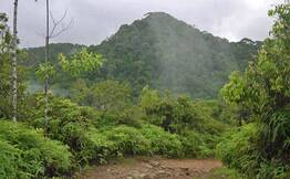 Sinharaja Rain Forest Day Trek from Galle - Trodly