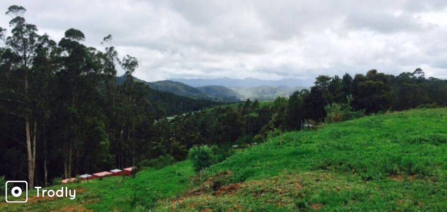 Camping In Ooty