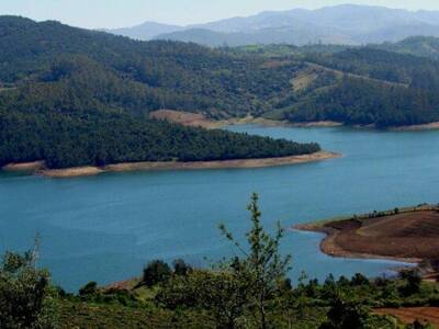 Ooty 2 Day Sightseeing Tour from Bangalore City