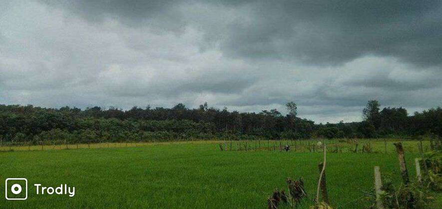 Nishani Motte Wildlife Circuit Trek