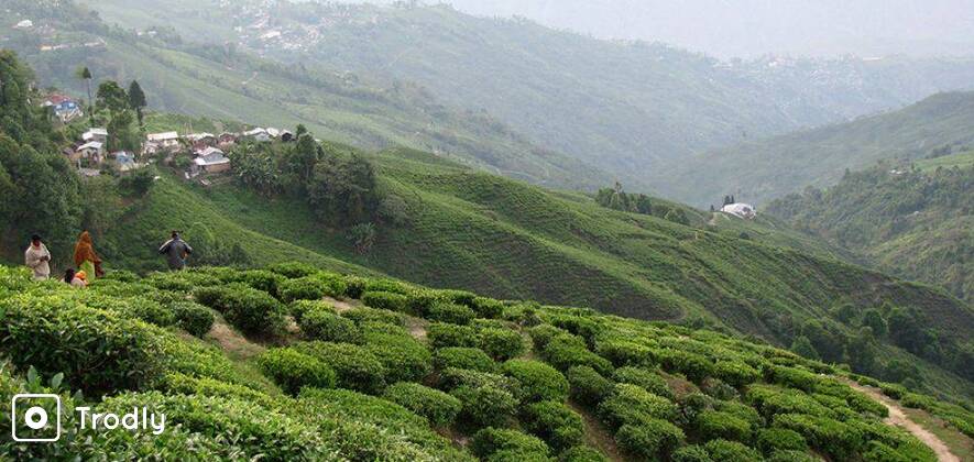 Serenity in Himalayas - Gangtok & Darjeeling