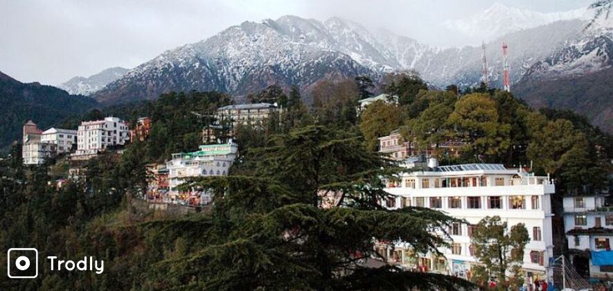 8-Hour Sightseeing Tour of Dharamshala
