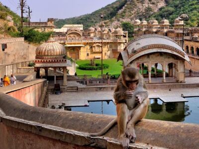 Temples Of Jaipur- Half Day Guided Tour