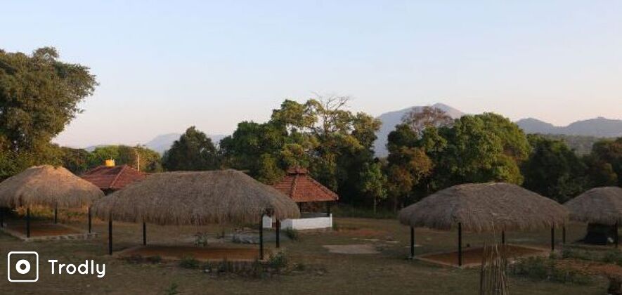 New Year Getaway to Nature Camp in Coorg